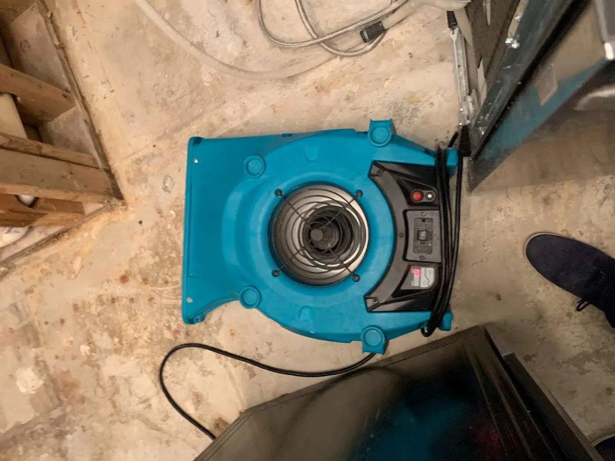 Air mover drying equipment for Mold Remediation & Removal in Camarillo